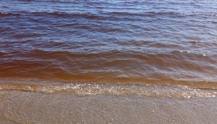 Замърсяване на морето вдигна на крак институциите