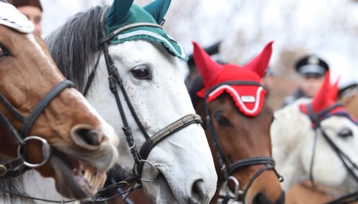 Конните полицаи ще демонстрират умения на площада в квартал "Бенковски" на 8 март