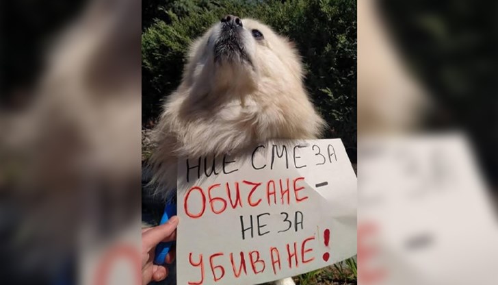 Духовният водач на Русенската епархия се присъедини към гражданската позиция след поредица от жестоки случаи в страната