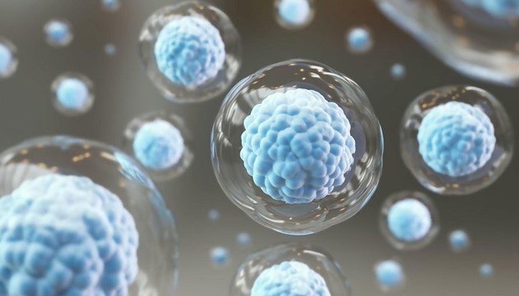 Откритието може да доведе до нови терапии срещу Алцхаймер и остеопороза Откритието може да доведе до нови терапии срещу Алцхаймер и остеопороза