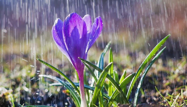 Дъждове обхващат страната, но остава топло за сезона Дъждове обхващат страната, но остава топло за сезона