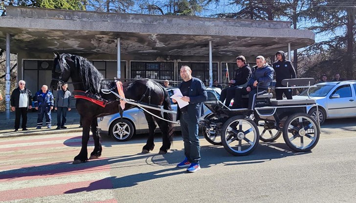 Фрезийски жребец и четиригодишна ездачка станаха звезди на празника