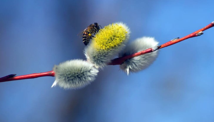 Пролетта настъпва Пролетта настъпва