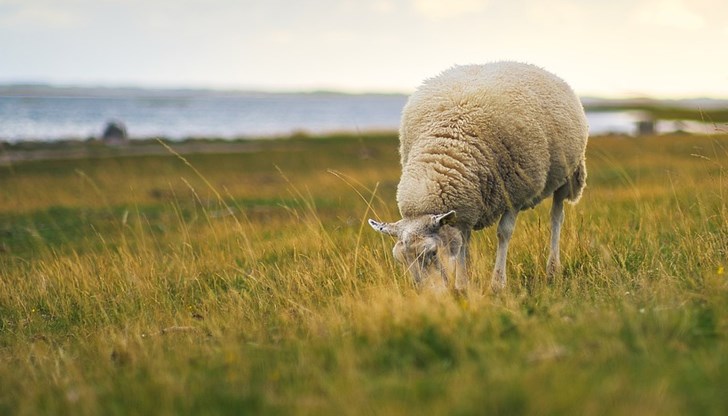 Ограниченията обхващат над 5100 хектара горски територии в община Русе