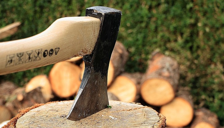 Започна проверка срещу 57-годишен мъж за незаконно притежание на дървесина