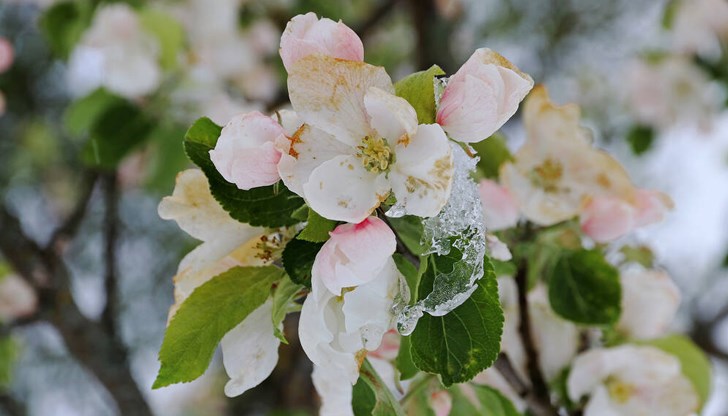 Със силния вятър от северозапад ще продължи да нахлува по-студен въздух
