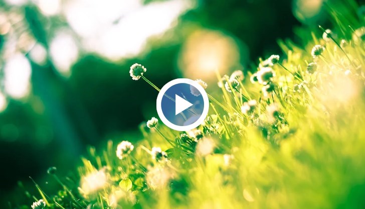 Астрономическата пролет на 20 март ще бъде предшествана от леки снеговалежи