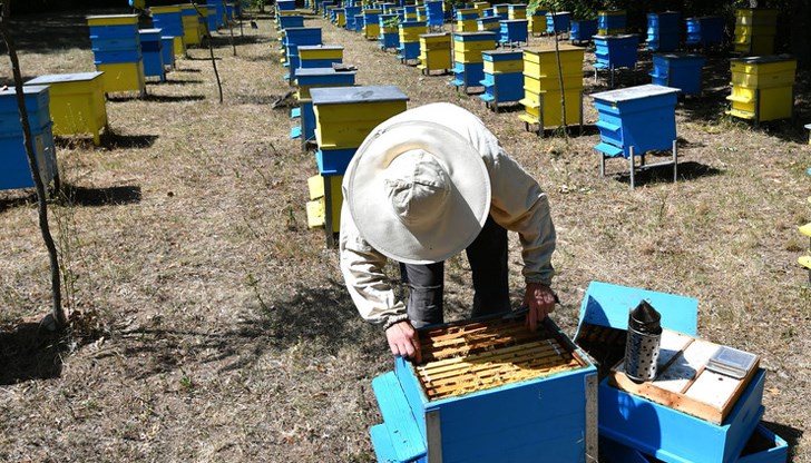 Без спешна подкрепа, секторът е заплашен от тотален колапс