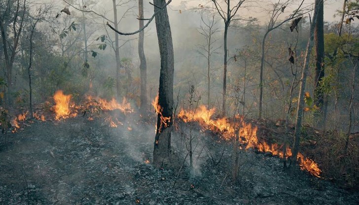 От началото на тази година са регистрирани нови 179 пожара в областта От началото на тази година са регистрирани нови 179 пожара в областта