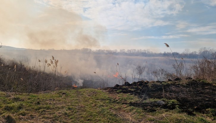 Огънят е унищожил растителност в имот, попадащ в екологичната мрежа НАТУРА 2000