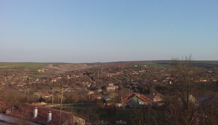 Ветеринари извадиха сачми от бедрото на пострадалото животно Ветеринари извадиха сачми от бедрото на пострадалото животно