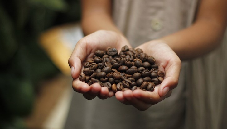 Климатичните промени доведоха до исторически скок в цената на кафето