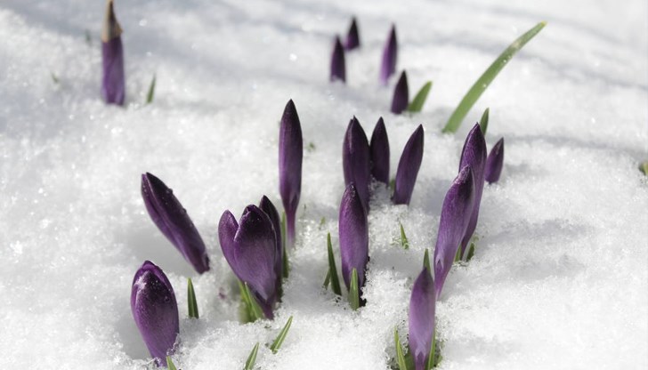 Снежна покривка ще има в Рило-Родопската област