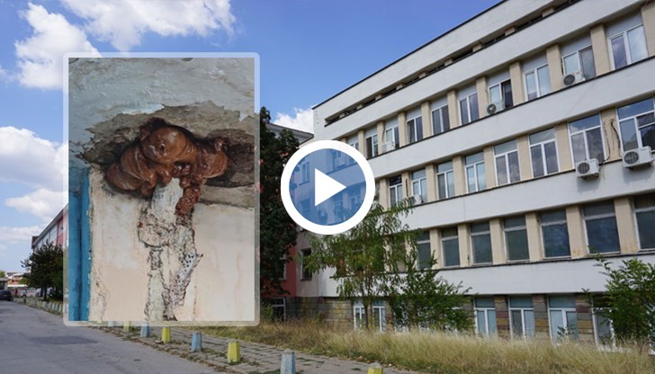 Родител описва условията като "покъртителни" - стените са плесенясали, а от тавана висят кабели