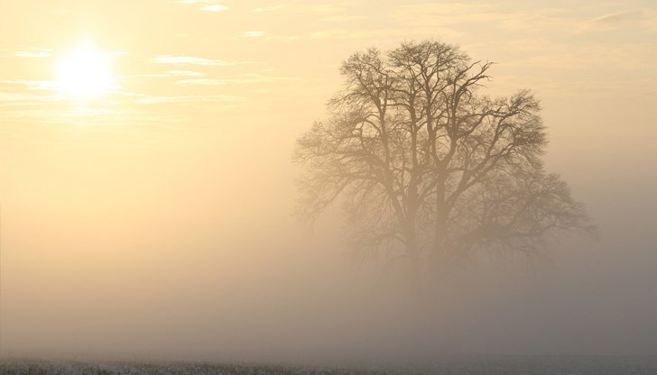Мъгливи утрини и слънчеви дни с рязко повишение на температурите