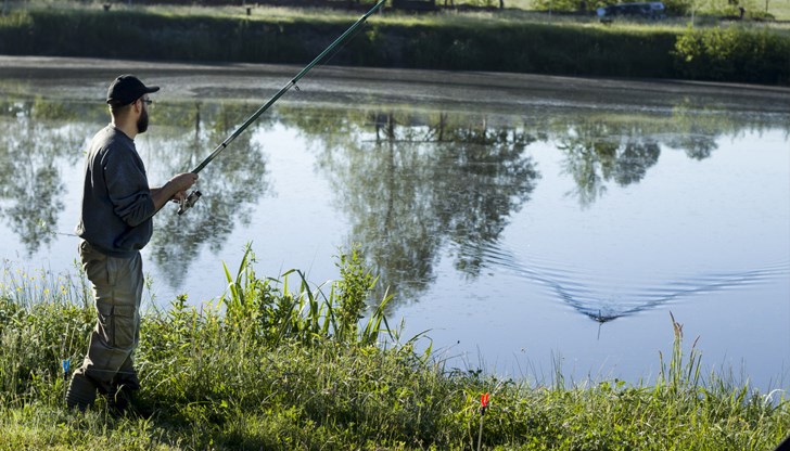 Природата се възражда с особена жизненост Природата се възражда с особена жизненост