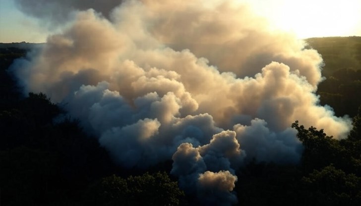 Силни ветрове разпалиха опустошителен горски пожар в Лонг Айлънд