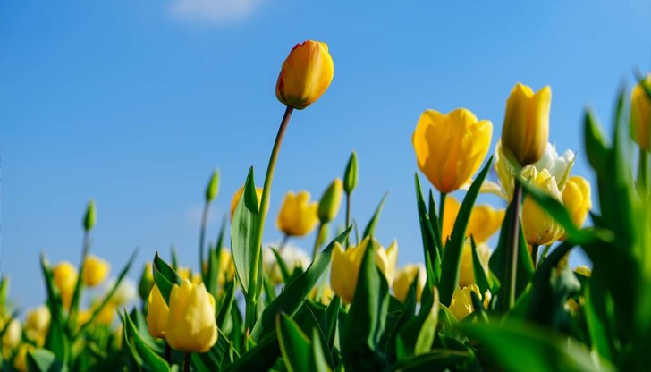 Очакват ни и кратки, но интензивни валежи с гръмотевици Очакват ни и кратки, но интензивни валежи с гръмотевици