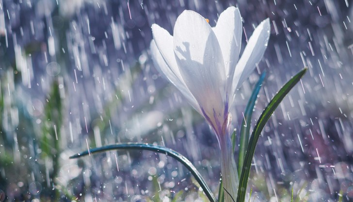 Температурен контраст в неделя – от 28 градуса до градушки и бури Температурен контраст в неделя – от 28 градуса до градушки и бури