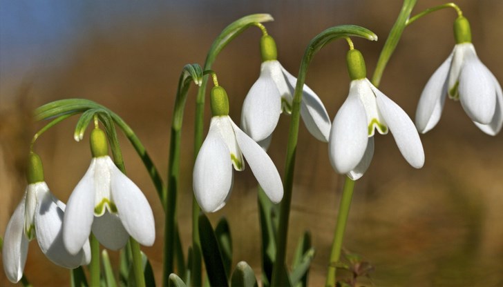 Идва мощно пролетно затопляне след 3 март