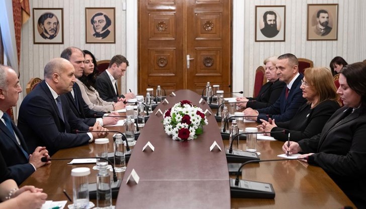 Президентът се срещна с председателя на Eurochild и настоя за ефективно използване на средствата от Европейската гаранция за детето