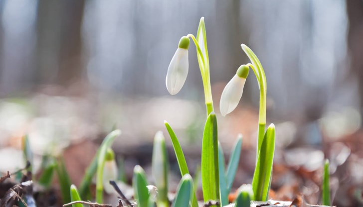 По-динамични промени ще има в Северна и Източна България