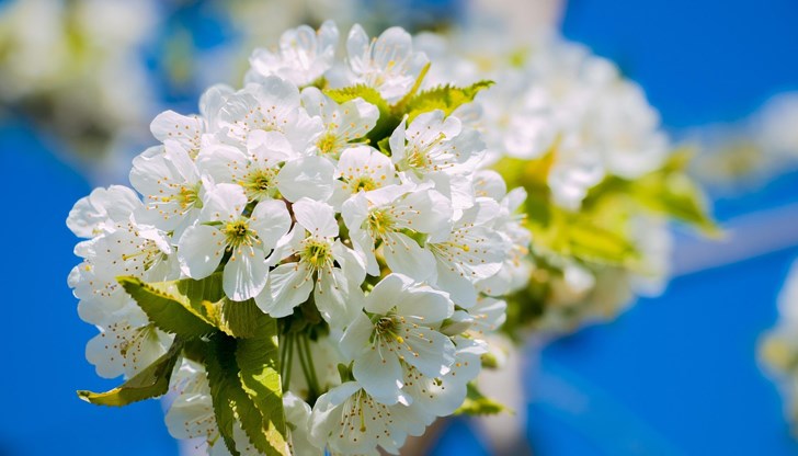 Четвъртък бележи началото на новия сезон с равенство между деня и нощта Четвъртък бележи началото на новия сезон с равенство между деня и нощта