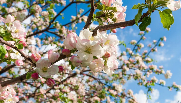 Ясно и слънчево на 21 март Ясно и слънчево на 21 март