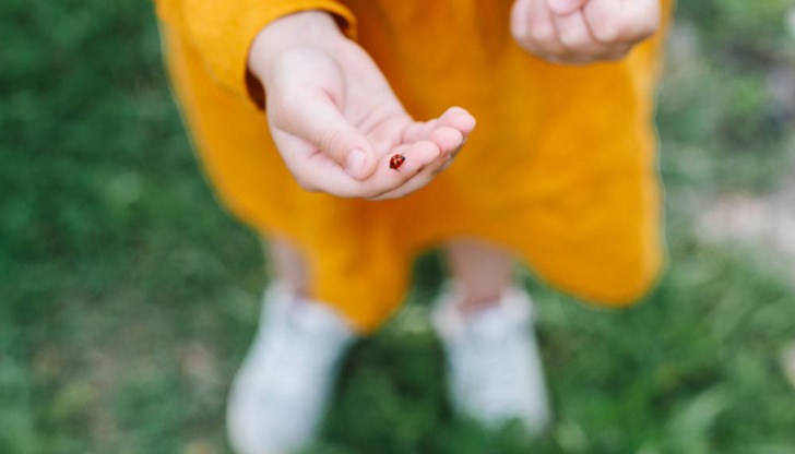 Мария Димитрова: Без да искат, родителите прекъсват тази връзка, което е пагубно за подрастващите Мария Димитрова: Без да искат, родителите прекъсват тази връзка, което е пагубно за подрастващите