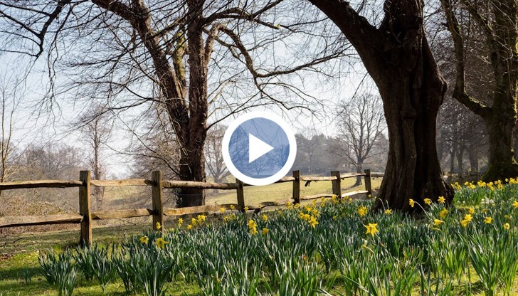 Сахарски въздух носи летни температури през уикенда