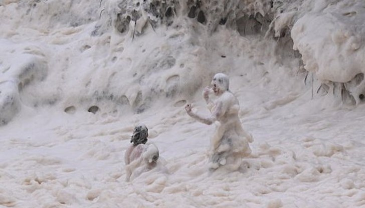 Сърфисти се разболяват от токсични водорасли Сърфисти се разболяват от токсични водорасли