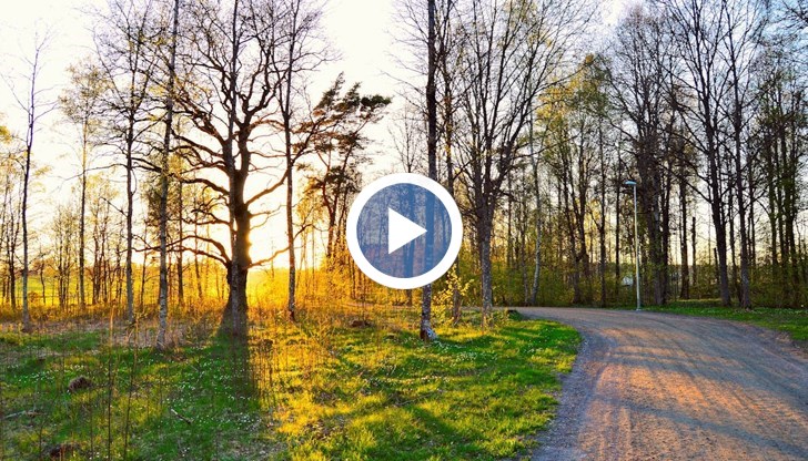 Топъл и слънчев край на работната седмица