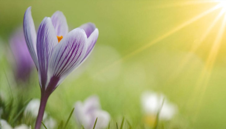 Очаква се промяна на времето с вятър и валежи през следващите дни