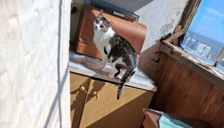 Това е втора санкция за възрастната нарушителка