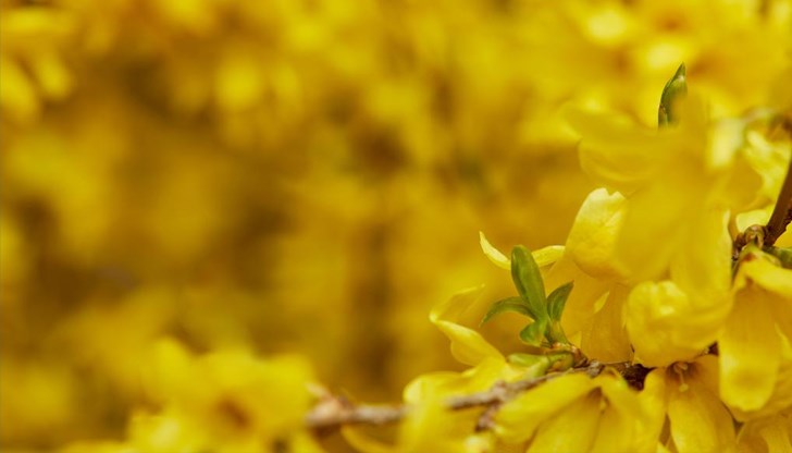 Много топло време за средата на март