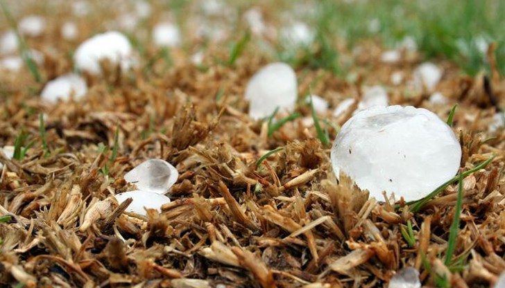 70% подкрепа за застраховане на земеделската продукция през 2025 година