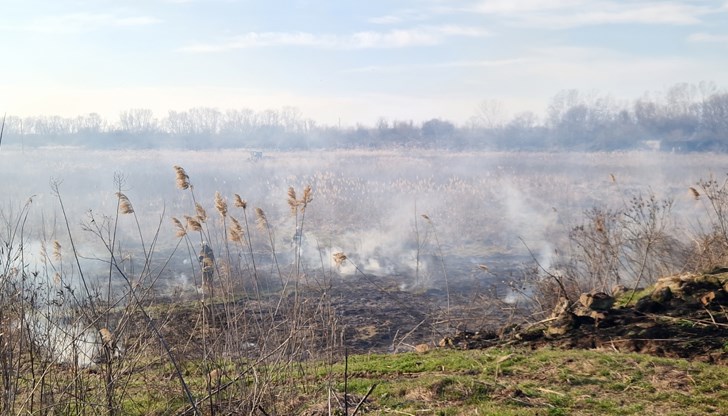 Засегнати са 1000 декара сухи треви, папрати и папури