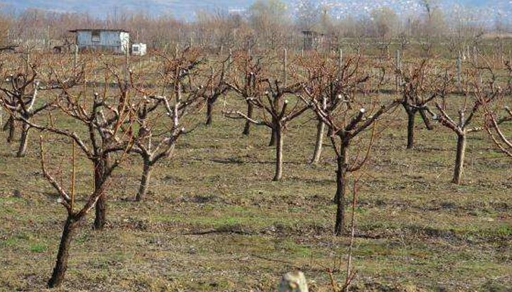 Силистренско и Русенско са най-засегнати от студената вълна