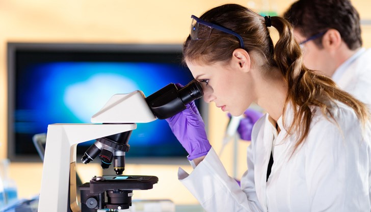 Учени от Финландия и Германия създадоха материал с потенциал за приложение в медицината и роботиката