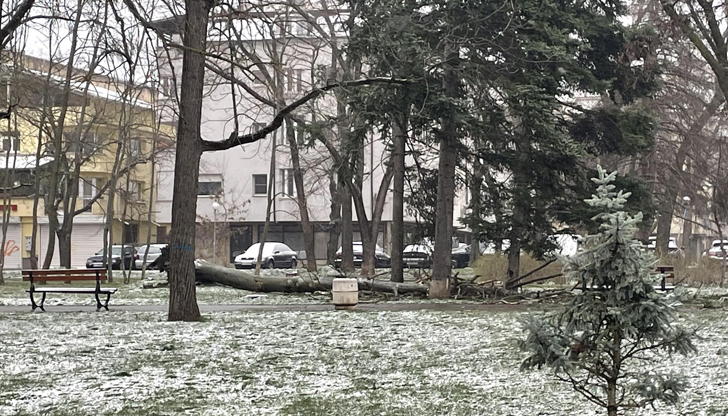 Инцидентът стана само на сантиметри от пешеходната алеяИнцидент без пострадали