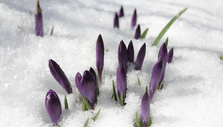 Снежна покривка ще има в Рило-Родопската областЦиклон от Средиземноморието ще