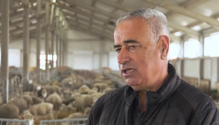 Производител: В момента цената за живо тегло е 12 лева