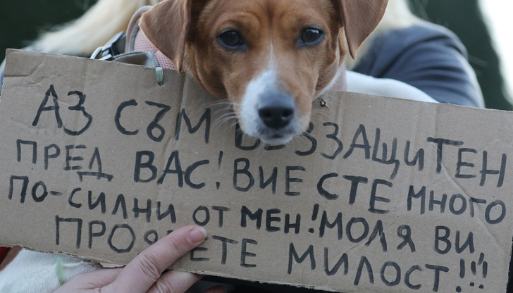 Протестът ще се проведе днес пред Съдебната палатаМасов национален протест
