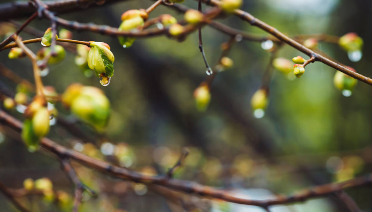 Температурите ще останат сравнително високи за сезонаВ неделя, 23 март,