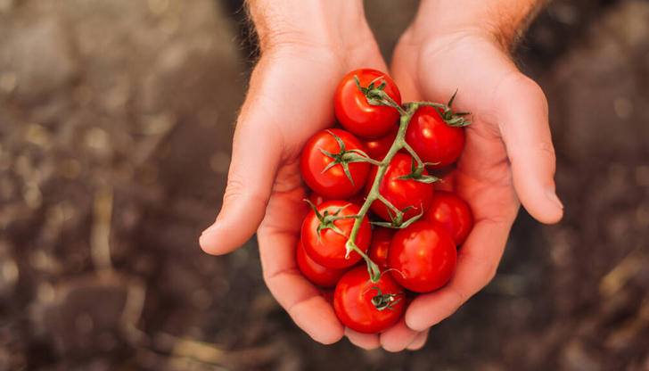 Можем да имаме богата реколта както в градината, така и