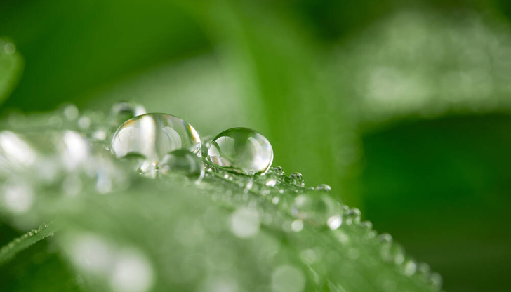 От 6 до 10 април се очакват и интензивни снеговалежи