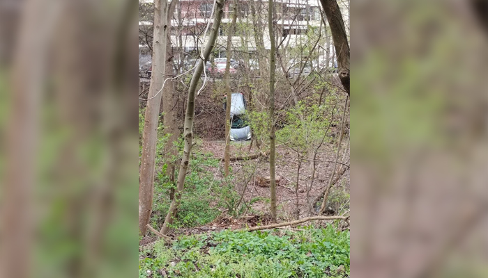 Инцидентът е станал в Южния паркКола падна в Перловска река