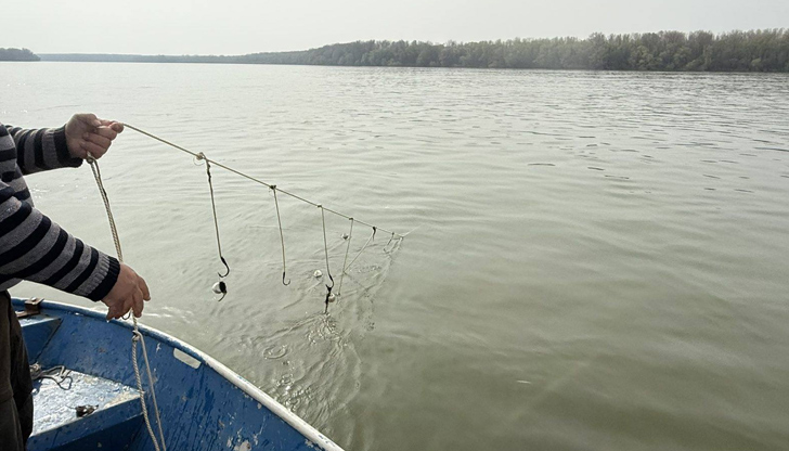 Спасена е застрашена чига, използвана като примамка за улов на