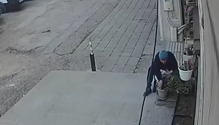 Камери заснеха посегателството над цветята, засадени от деца с любов