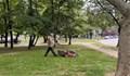 Интензивно косене на зелените площи в Русе